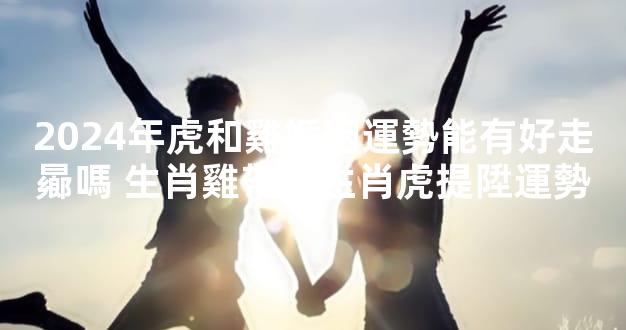 2024年虎和雞婚姻運勢能有好走曏嗎 生肖雞帶動生肖虎提陞運勢